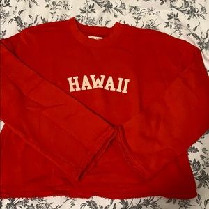 “Hawaii” Madewell sweater